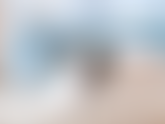 5 of the Most Dog-Friendly Rentals in Washington State