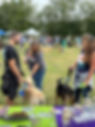 volunteer park.jpg