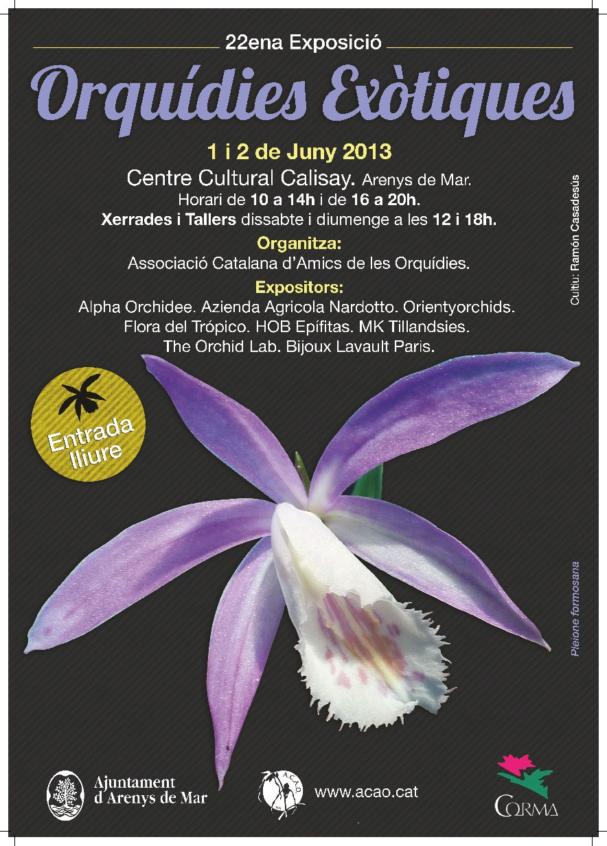 22 ARENYS 2013