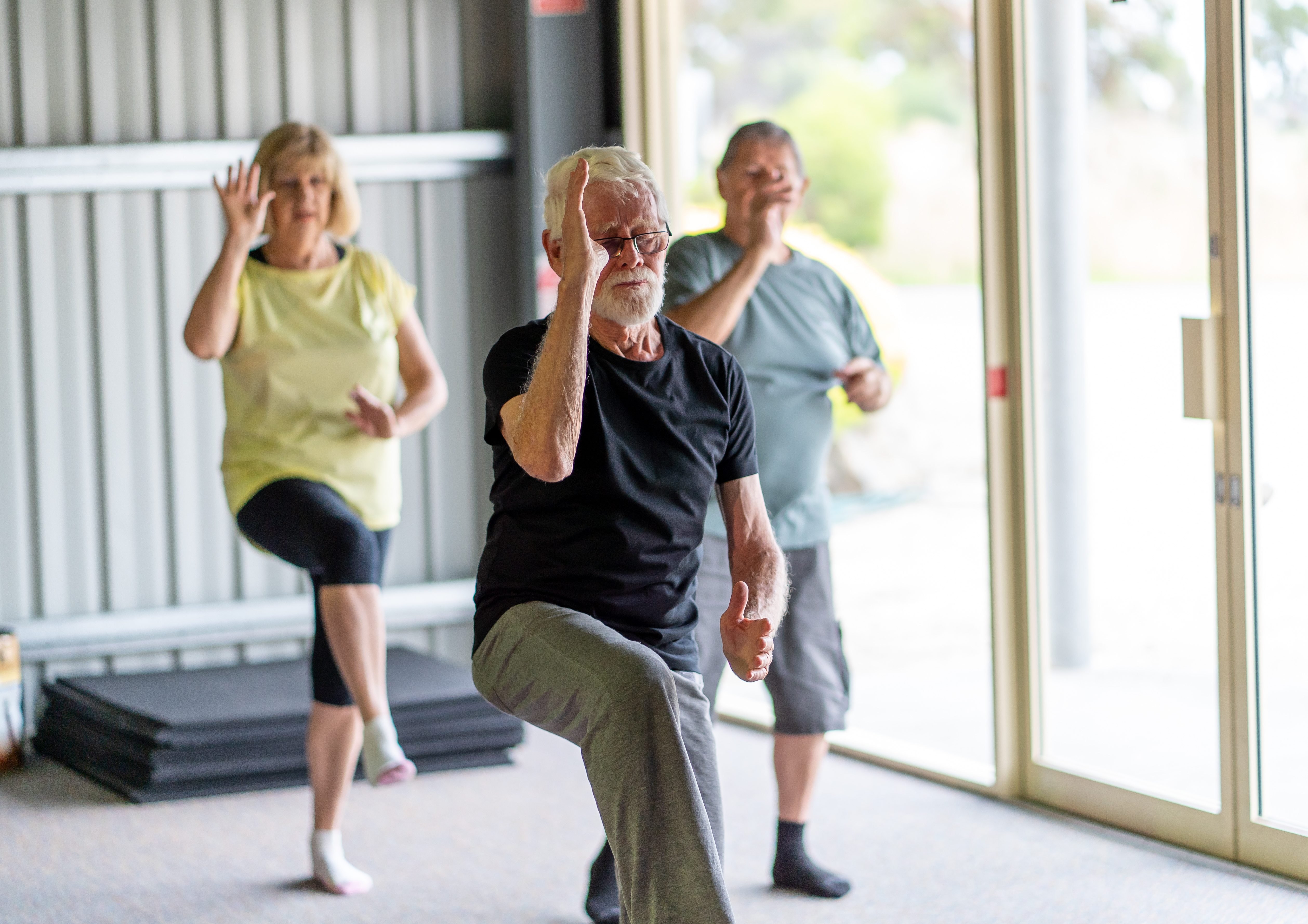 Image capturing mature adults gracefully performing the "pheasant stands" pose in Tai Chi, a gentle and flowing exercise promoting balance, flexibility, and overall well-being.