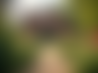 Expert Mortgage Assistance for Turkish Clients in the UK