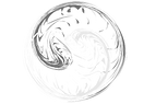 balance & intergration