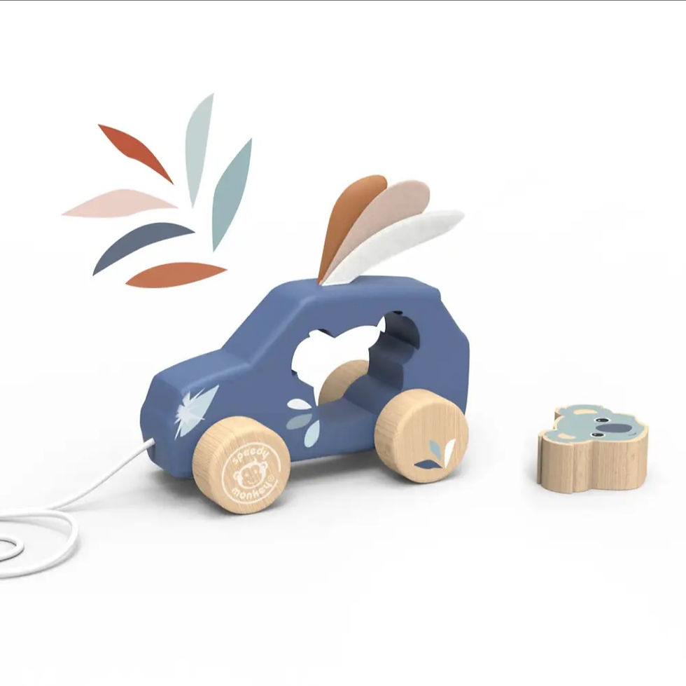 Thumbnail: Speedy Monkey Pull Along Car