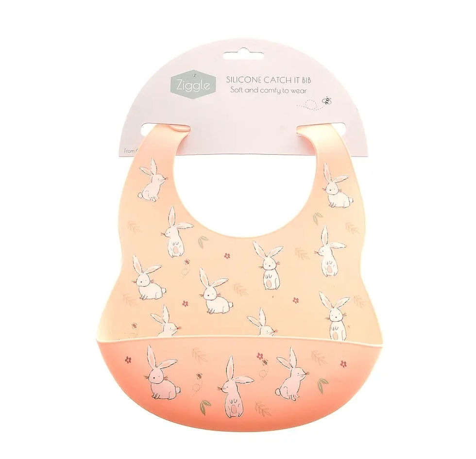 Thumbnail: Catch It Silicone Bib