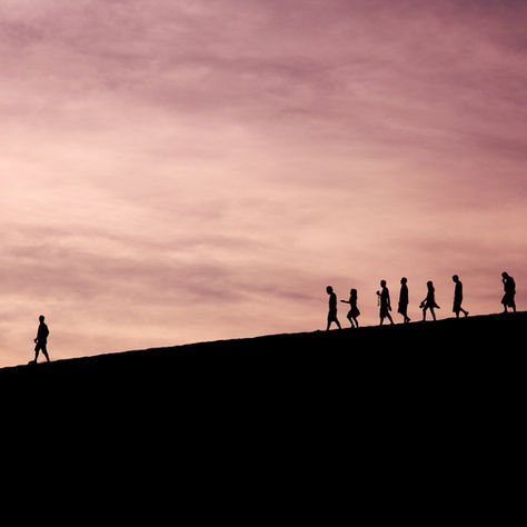 How to Improve Team Performance: Coaching, Development and What Actually Works