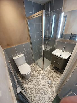 Wet Room with Showe, Toilet and Sink