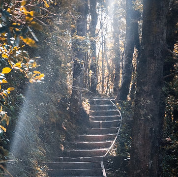 Smaller- Stairs.jpeg