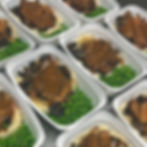 Pork Chops