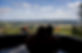 glamping_pod_with_hot_tub_in_wales (202)_edited.jpg