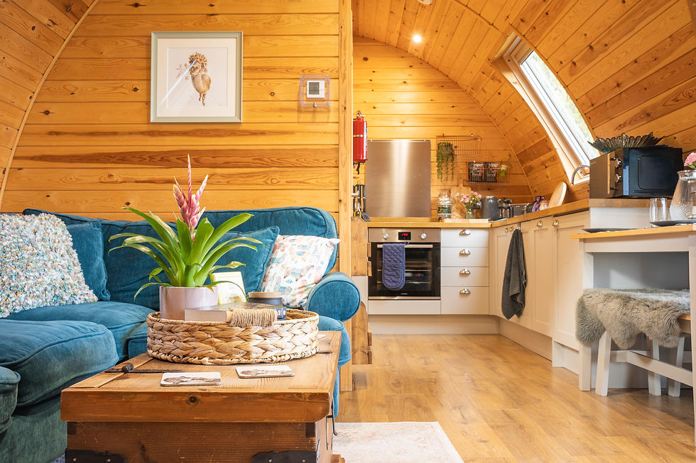 Which is the Best Glamping Accommodation for Me?