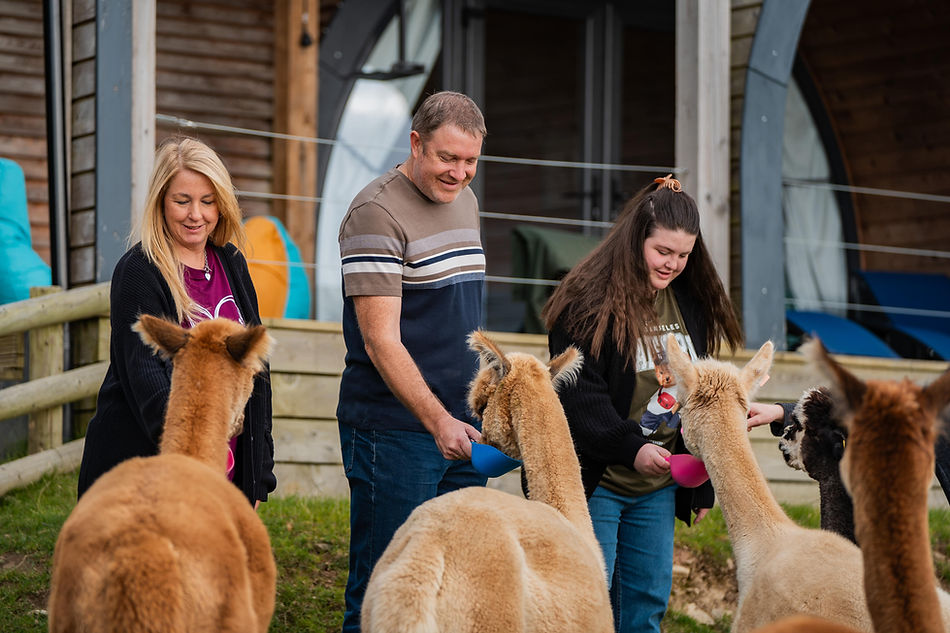 glamping_with_alpacas_wales (35).jpg