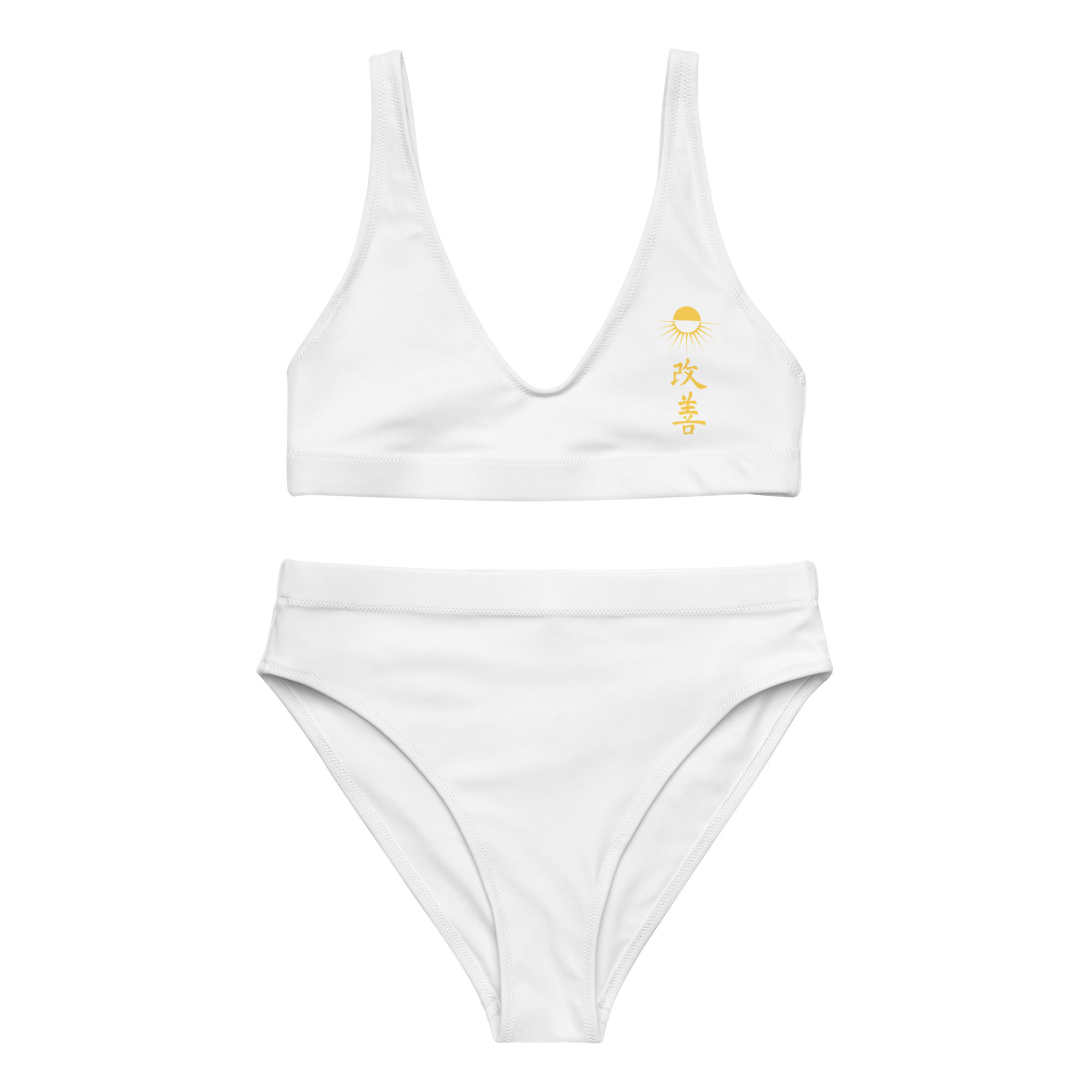 Riptide High-Waisted Bikini