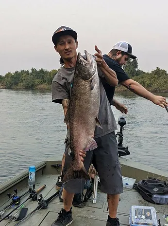 Johnson S Bait Tackle