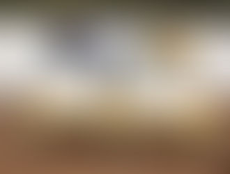 The Bees are Coming!!!