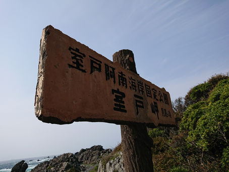 宇宙人もビックリ!調和の意識でいると調和の世界が現れる 室戸岬ツアー①