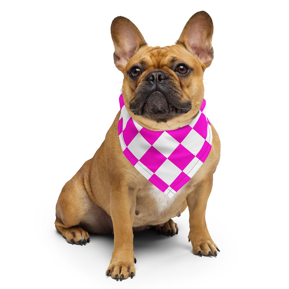 Thumbnail: Bandana (Checker Poppin' Pink/Wht)