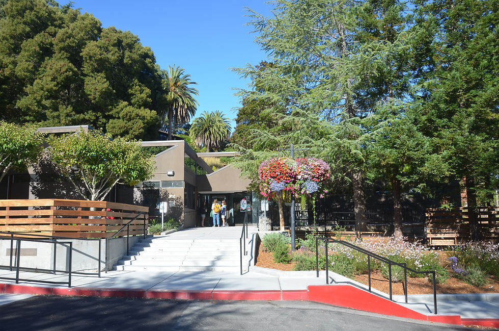 Corte Madera Library