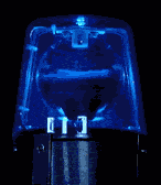 2863497576_1.gif