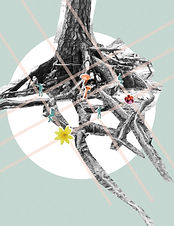 COLLAGE_TREE ROOTS_10.7.jpg