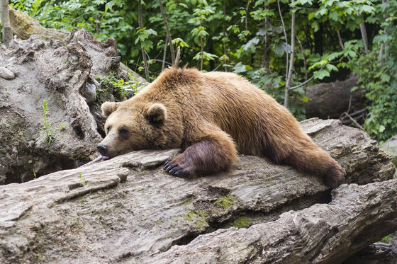 Sleep and Performance: The Best Performance Enhancer