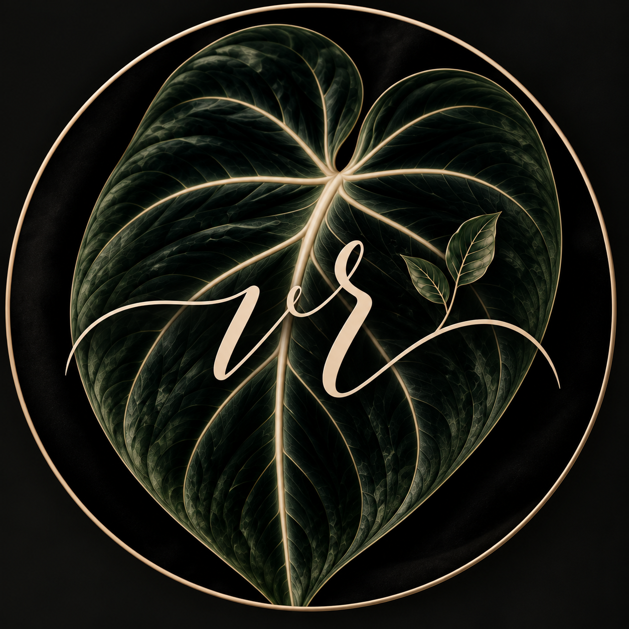 Writer: Plant Addict