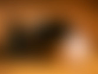 子供のための発表会を開催します🎻
