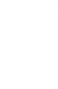 Fringe Fox White.png