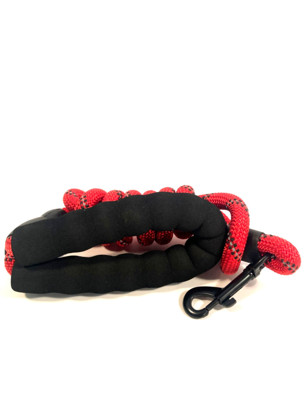 Thumbnail: Reflective Nylon Leash