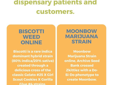 Buy Italian Ice Strain from California Premium Cannabis Growers