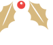 christmas holly.png