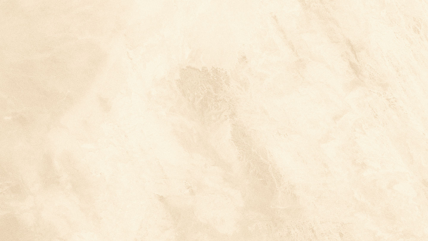 White Background_edited.jpg