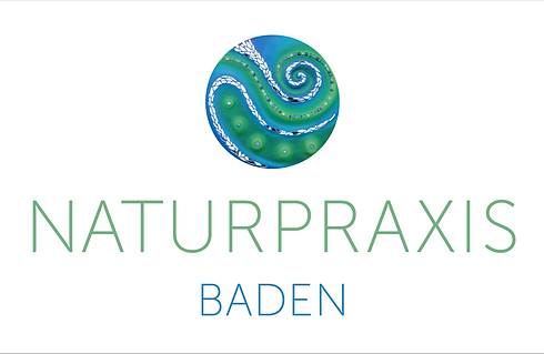 Susanne Herzig Logo.png