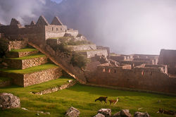 Machu Pichu | Peru