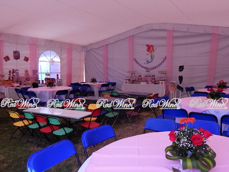 DECORACION DE CARPA