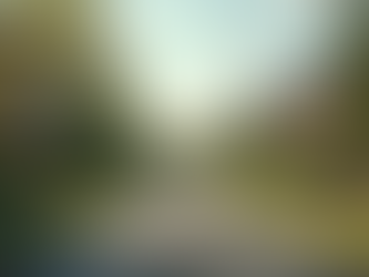 Steps to Successfully Buy Property in New South Wales