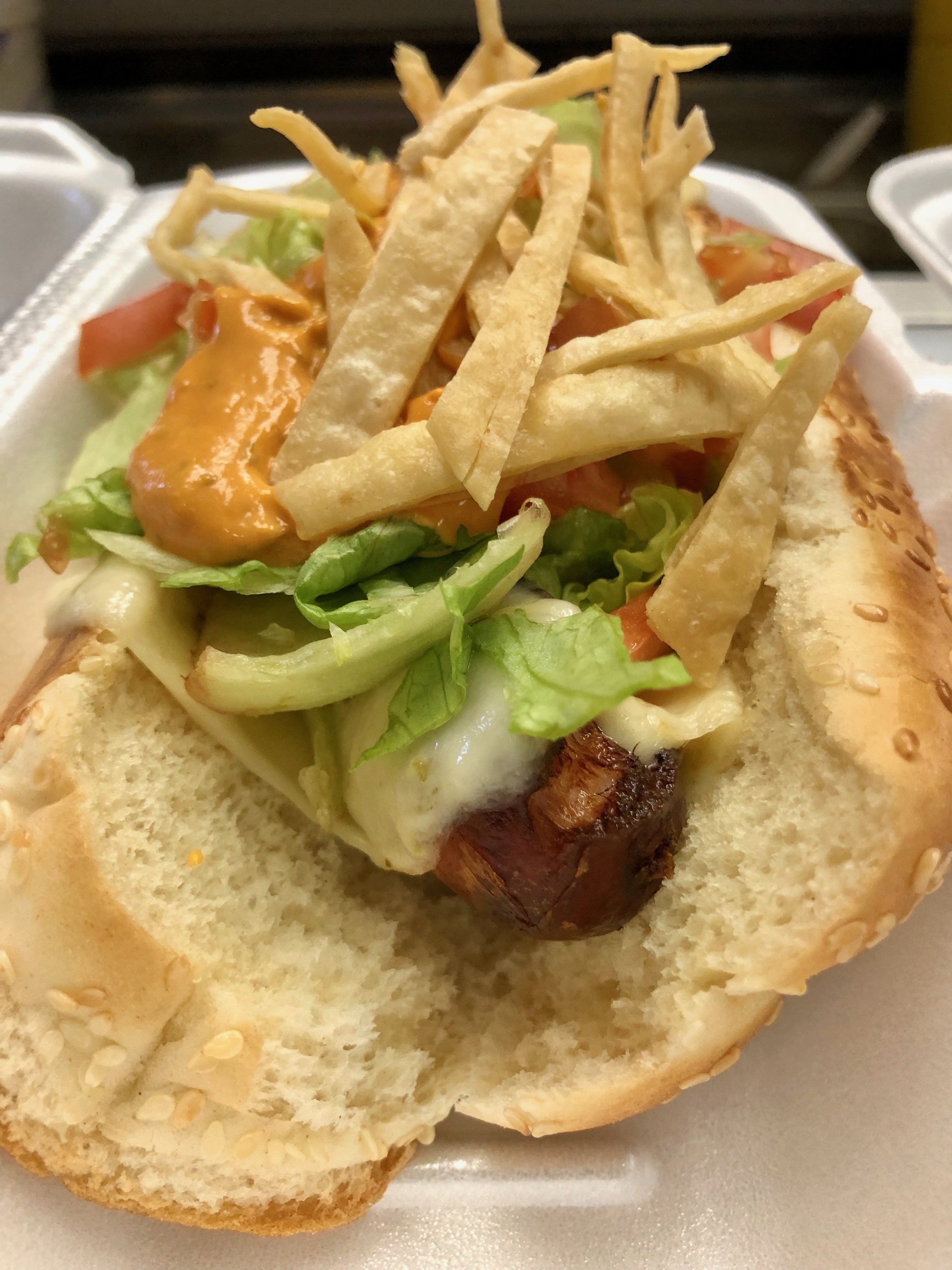 El Paso Dog
