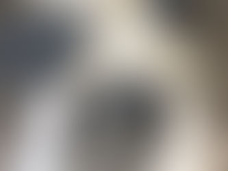 Inside the Puppy Pen – Day 37