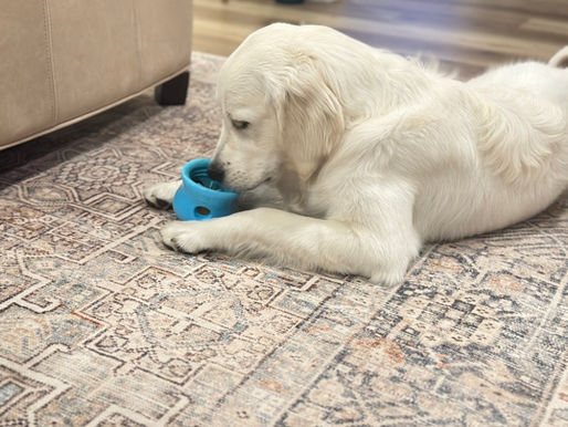 SDG Family Check-In: Jessi