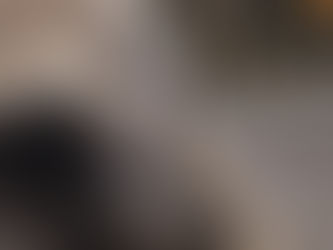 Inside the Puppy Pen – Day 13