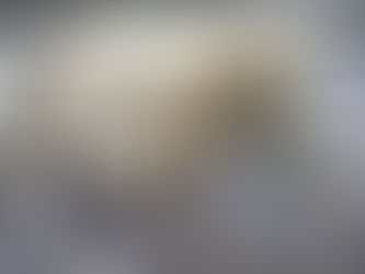 Welcome Dolly’s Herb Garden!