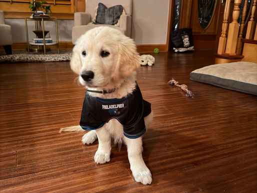 SDG Family Check-In: Goose