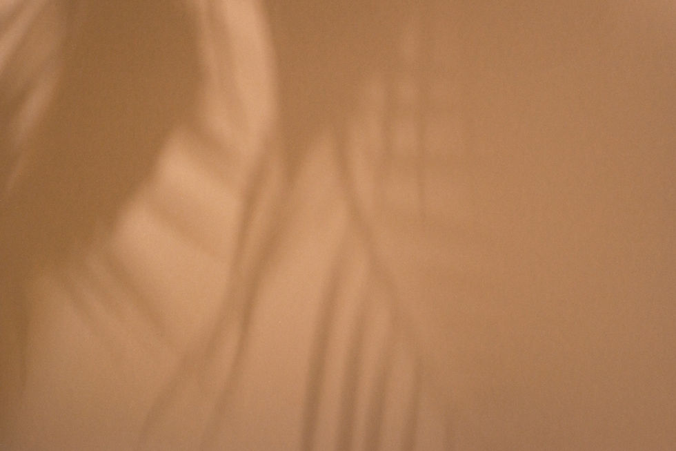 shadows-tropical-leaves-light-brown-background-top-view-flat-lay.jpg