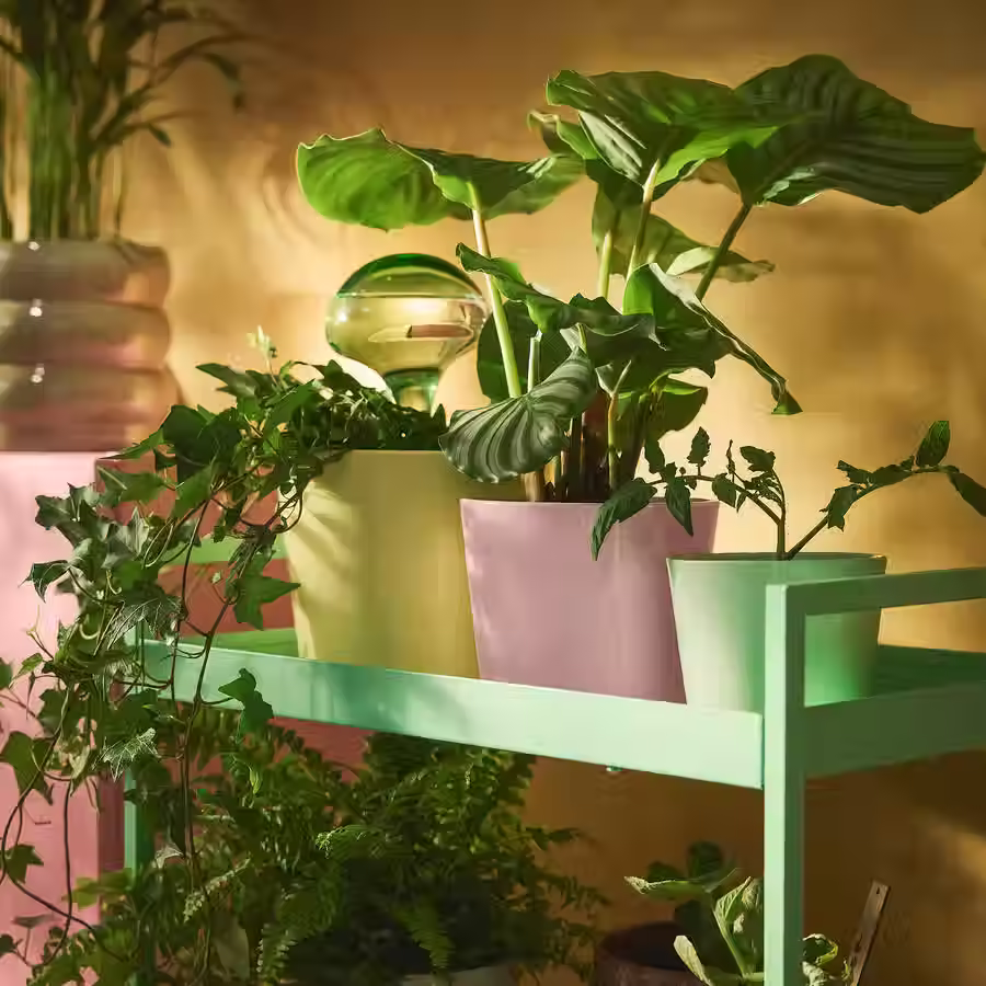 Thumbnail: SOJABONA Plant pot, light green, 3 1/2 "