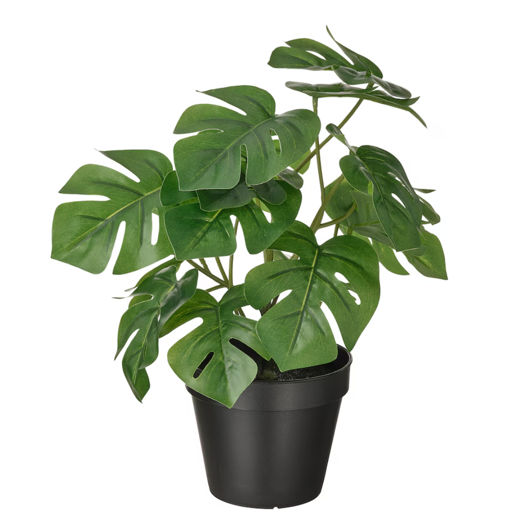 FEJKA Artificial potted plant, indoor/outdoor monstera, 4 ¾ "