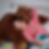 Thumbnail: DJUNGELSKOG Stuffed toy, brown bear