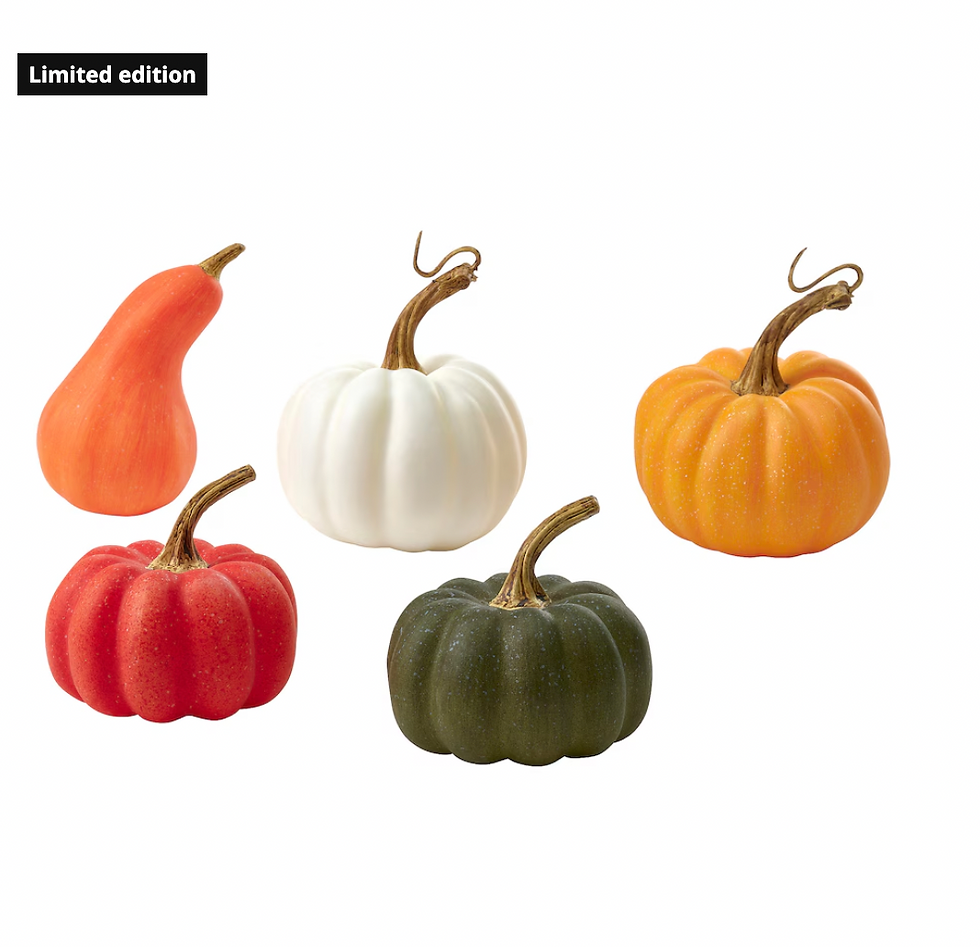 HOSTAGILLE Decoration pumpkin, set of 5, mixed colors