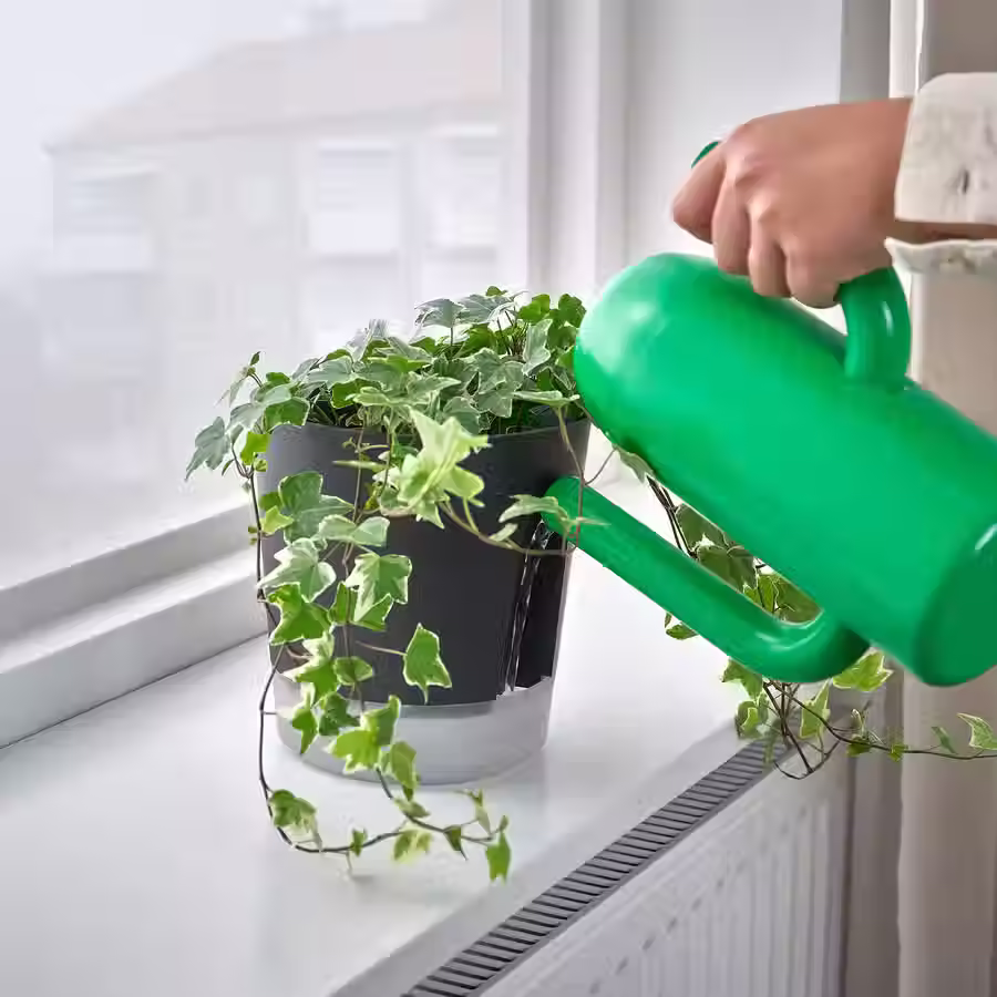 Thumbnail: VARDTRAD Self-watering plant pot, indoor/outdoor transparent/anthracite, 4 3/4"
