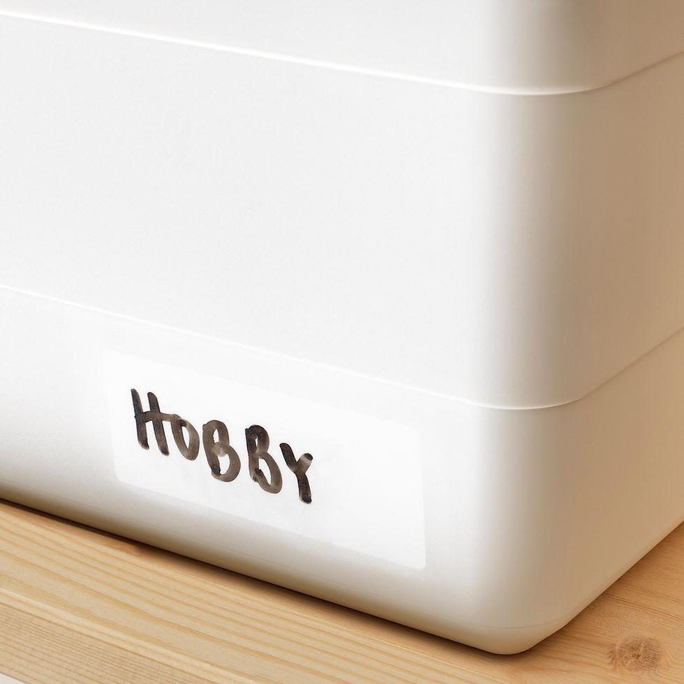 Thumbnail: SOCKERBIT Box with lid, white15x9 3/4x6 "