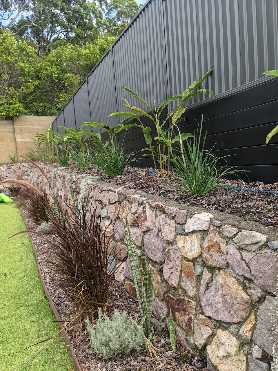 PXL_20250303_000327748.MP