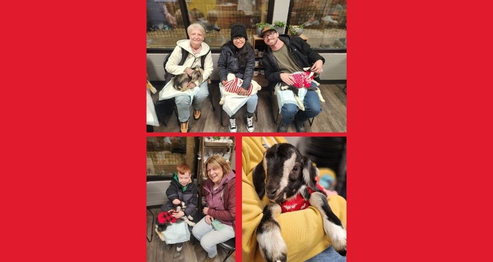 Baby Goat Snuggles | February 28